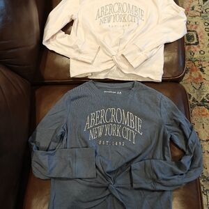 Abercrombie & Fitch Kids Long Sleeve Tees - Pale Pink And Gray Blue